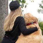 Custom Reflective Dog Collar - 4 Sizes, 16 Fonts