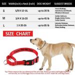 Custom Reflective Martingale Dog Collar with Name