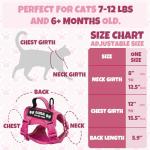 Custom Pink Cat Harness and Leash Set