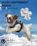 Lightweight Service Dog Vest with ID Tag Set
