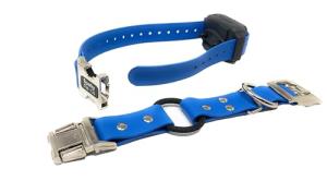 Zeus ECollar Replacement Strap for Dogs - Blue