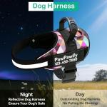 Custom Reflective No-Pull Dog Harness with Name