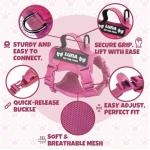 Custom Pink Cat Harness and Leash Set