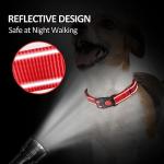 Custom Reflective Martingale Dog Collar with Name