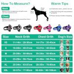 Custom Reflective No-Pull Dog Harness with Name