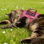 Custom Pink Cat Harness and Leash Set