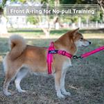 Custom No-Pull Dog Harness with Name & Phone