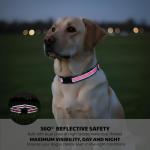 Adjustable Pink Dog Training Collar Strap