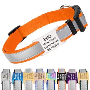Reflective Personalized Dog Collar with Engraved ID Tag