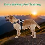 Custom Reflective No-Pull Dog Harness with Name