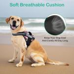 Custom Reflective No-Pull Dog Harness with Name