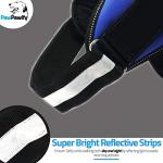 Custom No Pull Dog Harness with Name & Phone Number