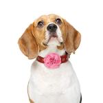 WILLBOND Colorful Bow Collars for Pets - Set of 4