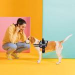 Custom Reflective Patches for Dog Vests and Collars