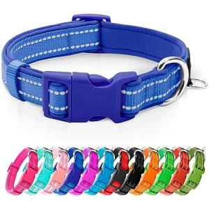 Reflective Adjustable Dog Collar with ID Tag, Blue