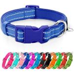 Reflective Adjustable Dog Collar with ID Tag, Blue