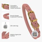 BronzeDog Adjustable Rolled Leather Dog Collar