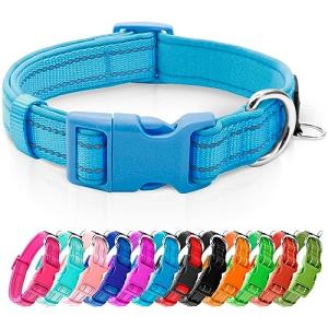 Sky Blue Reflective Dog Collar with ID Tag