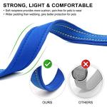 Reflective Adjustable Dog Collar with ID Tag, Blue
