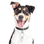 JOVITEC 3 Set Pet ID Tags with Clips