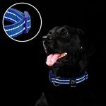 Reflective Adjustable Dog Collar with ID Tag, Blue