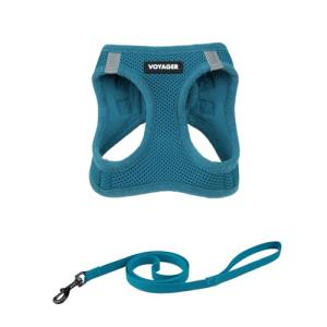 Voyager Adjustable All-Weather Pet Harness – Turquoise