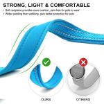 Sky Blue Reflective Dog Collar with ID Tag