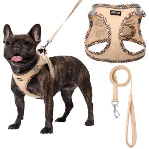 AMTOR No Escape Small Dog Harness and Leash Set