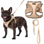 AMTOR No Escape Small Dog Harness and Leash Set