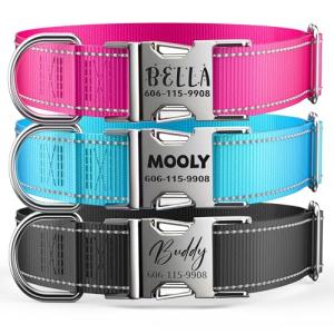 Custom Reflective Dog Collar with Engraved ID Tag