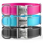 Custom Reflective Dog Collar with Engraved ID Tag