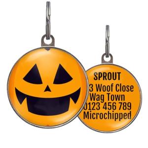 Halloween Pumpkin Pet ID Tags for Dogs & Cats