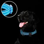 Sky Blue Reflective Dog Collar with ID Tag