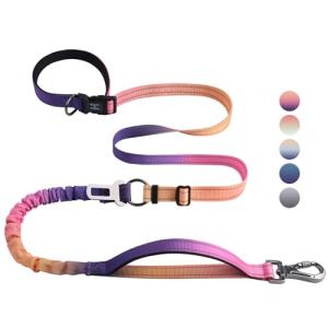 Hands-Free Bungee Leash for Medium Large Dogs