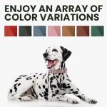 BronzeDog Adjustable Leather Dog Collar with QR Tag