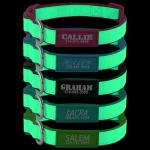 Glow in The Dark Custom Dog Collars