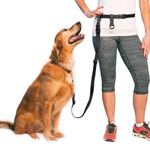 Adjustable Hands-Free Dog Leash for Active Owners