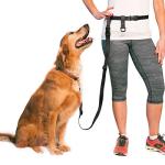 Adjustable Hands-Free Dog Leash for Active Owners