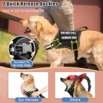 Service Dog Vest Harness with ID Tag and Patches