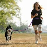 Hands-Free Bungee Leash for Medium Large Dogs