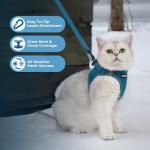 Voyager Adjustable All-Weather Pet Harness – Turquoise