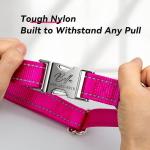 Custom Reflective Dog Collar with Engraved ID Tag