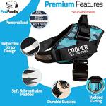 Personalized No Pull Dog Harness with Custom Patches