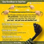 Hands-Free Leash for Large Dogs - Comfort & Freedom