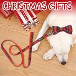 Christmas Buffalo Plaid Dog Collar and Leash Set