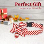 Festive Red Flower Dog Collar for All Sizes