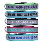 Personalized Reflective Pet ID Collar - 4 Sizes