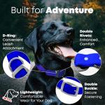 Blue Adjustable Dog Collar with Heavy Duty Buckle