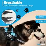 Personalized No Pull Dog Harness with Custom Patches