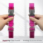 Custom Reflective Dog Collar with Engraved ID Tag